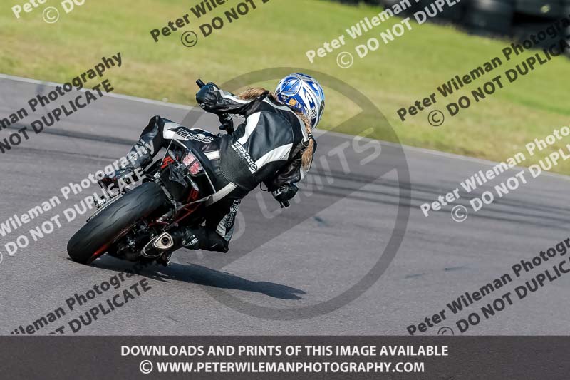 PJ Motorsport 2019;anglesey no limits trackday;anglesey photographs;anglesey trackday photographs;enduro digital images;event digital images;eventdigitalimages;no limits trackdays;peter wileman photography;racing digital images;trac mon;trackday digital images;trackday photos;ty croes